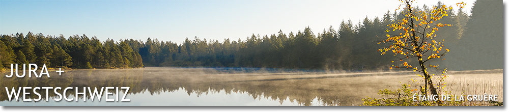 Etang de la Gruère