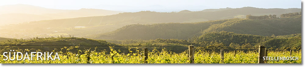 Stellenbosch